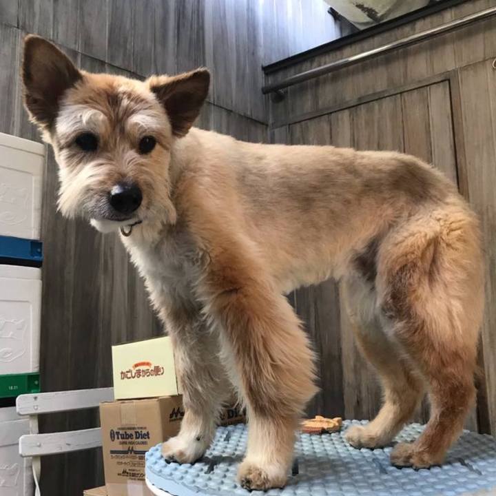 E360a0ee 0c61 44ed b692 73a3deae9c53 1770442159581