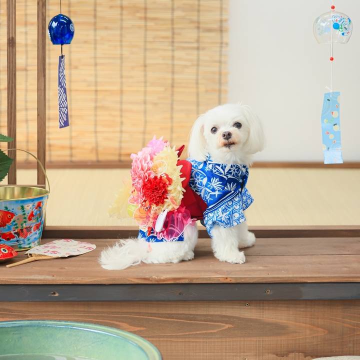 E360fbca 757d 42f2 9e16 1e44ffe76ae0 1660197279176