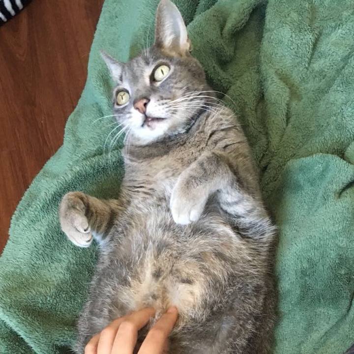 E3611eff 7d98 4539 a463 d0d7d2728fd1 1537372260276