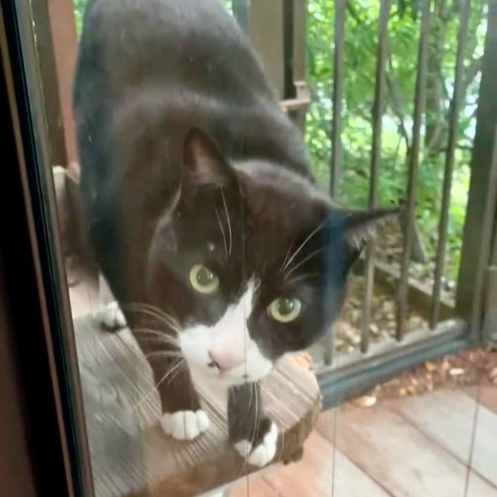 E36136fe d339 4e01 9f12 e9410ba5bf42 1747389715490