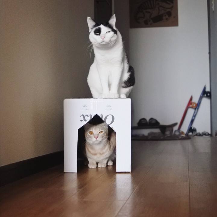 E3615949 e686 4eb6 a46e 448e70fb77cb 1558271936302