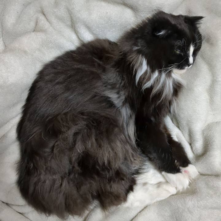 E36165f7 40ae 4794 9cc7 2d9e459436f8 1675938468279