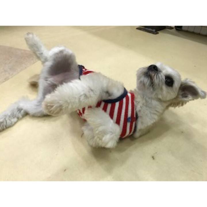 E3617b6a 28ba 4a2d ae9d 833bda1a157c 1542018981392