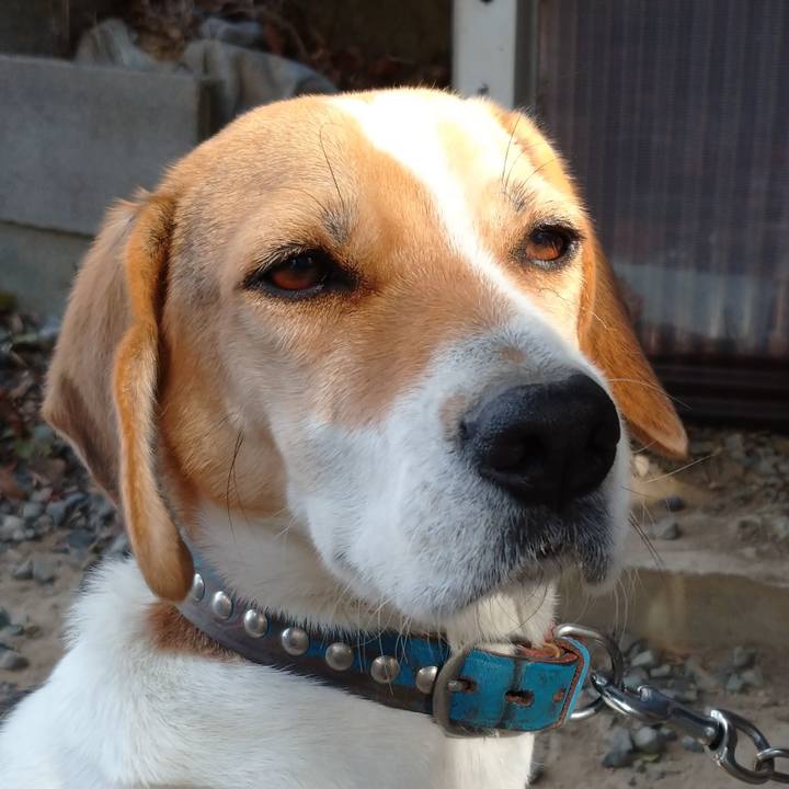 E3618250 2712 4b9a 9840 5b7e7683fc8f 1610892442840