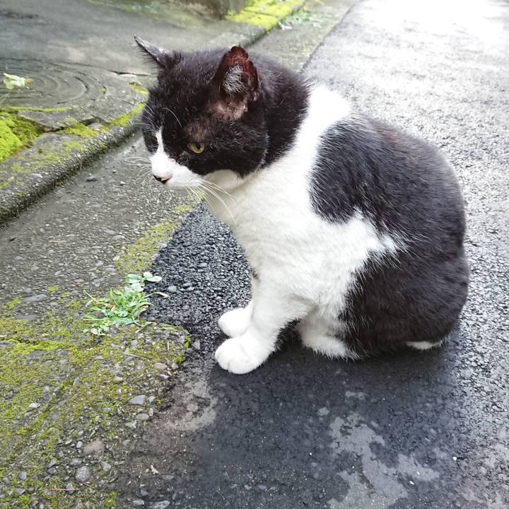 E3618cd3 cf51 42f2 9a63 61c9ce04a63a 1627944248942