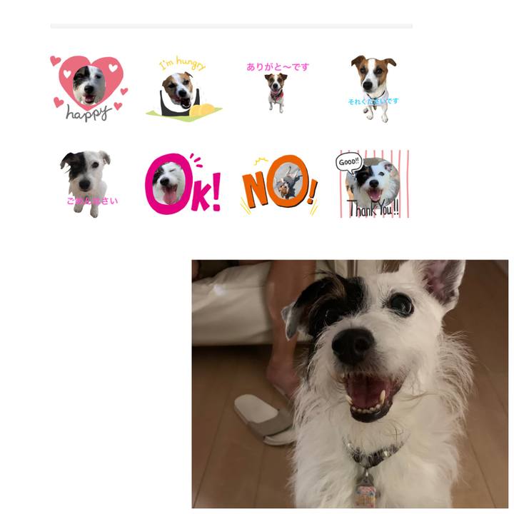 E36199c1 6797 43b0 bcb5 28a531e21f2b 1663129989449