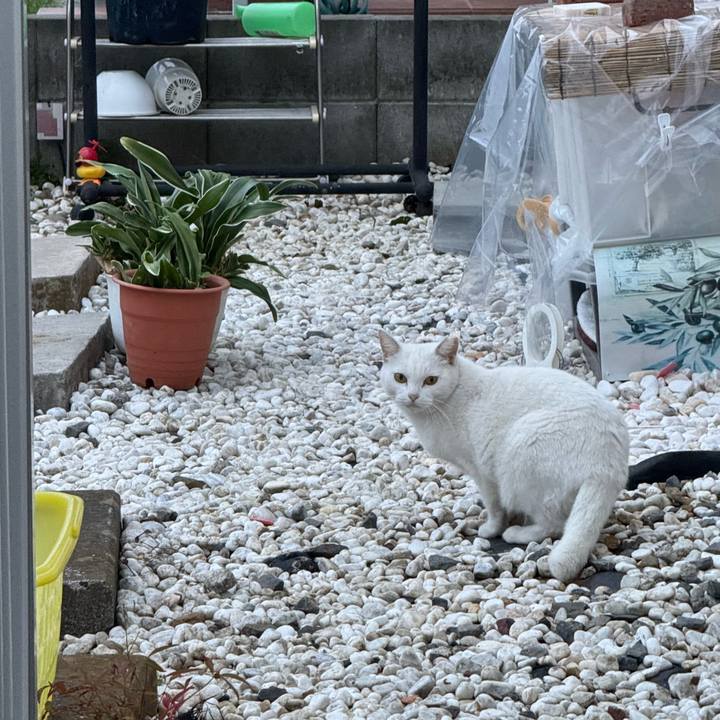 E361bb77 86ef 4dd3 aca0 3ba78074ed22 1759804539711