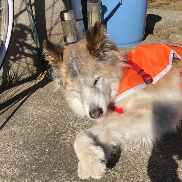 E361e8ed 6c84 47f0 b8e2 e37b786c8acc 1548119685564