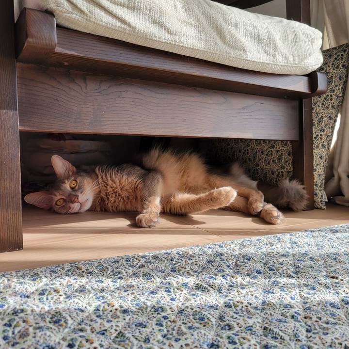 E361ef0e 61c3 4943 9424 fe4d97a67b0e 1633408196456