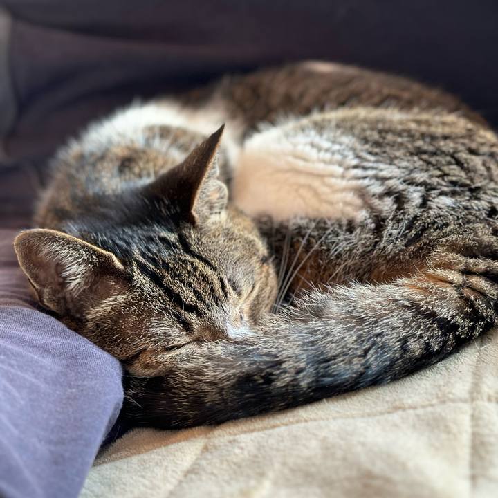 E362339a ec28 4a73 b9bc 8bf705b3e1c1 1680138030979