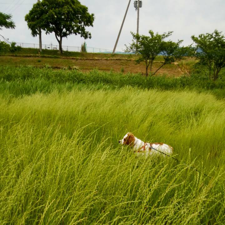 E3623814 2356 467a befc cf9872df195c 1558958299027