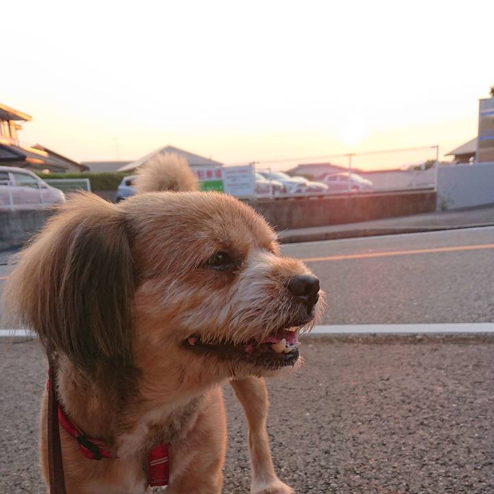 E362462f 45ca 4cf3 bc33 ab09fbf78923 1564869917075