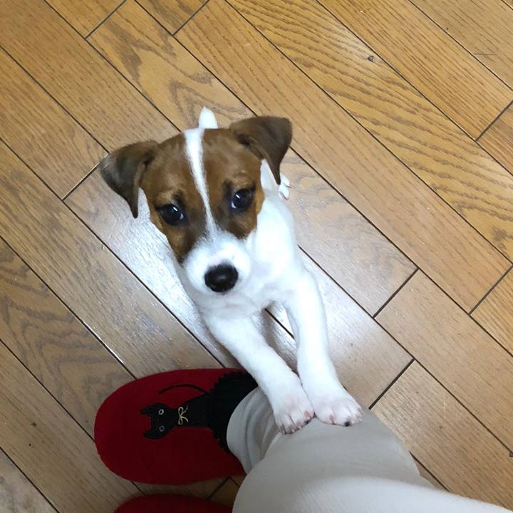 E36258cb c87d 4d04 aed8 1cb730e2b1e2 1512083177356