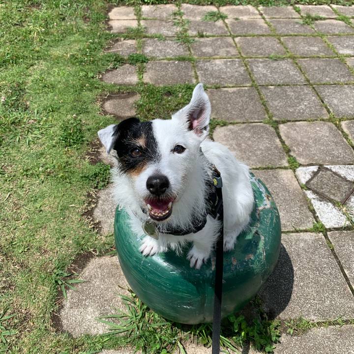 E3625ee6 665b 41cd b232 1d4e83983fd3 1717204985644