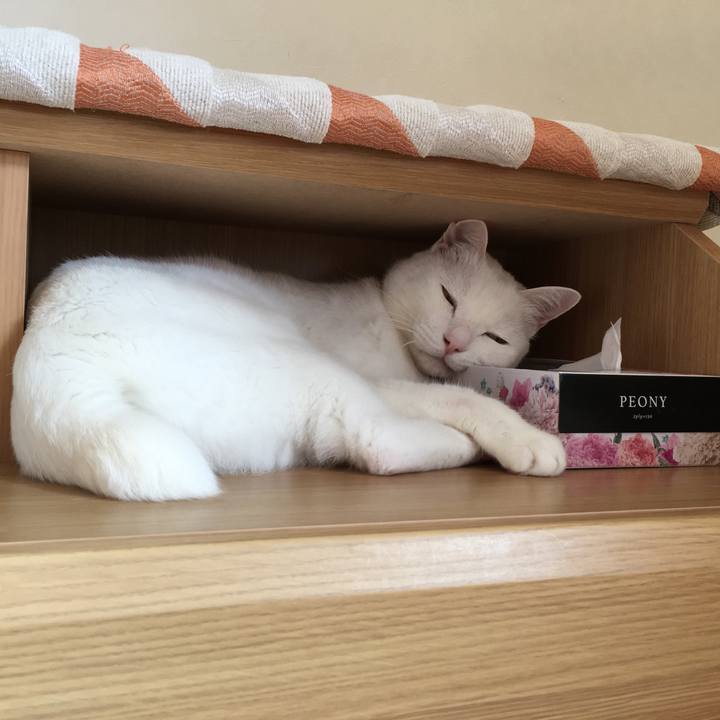 E3625fbf cbc5 4e22 99df 65f9efb70307 1569140048245