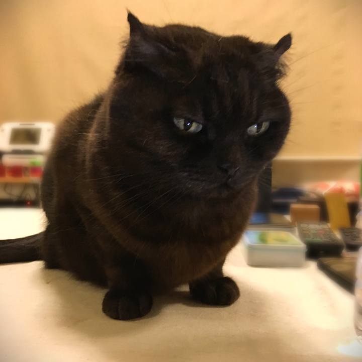 E3626d5f fbad 44c4 bbe0 2b5442d2c3d2 1520090849399