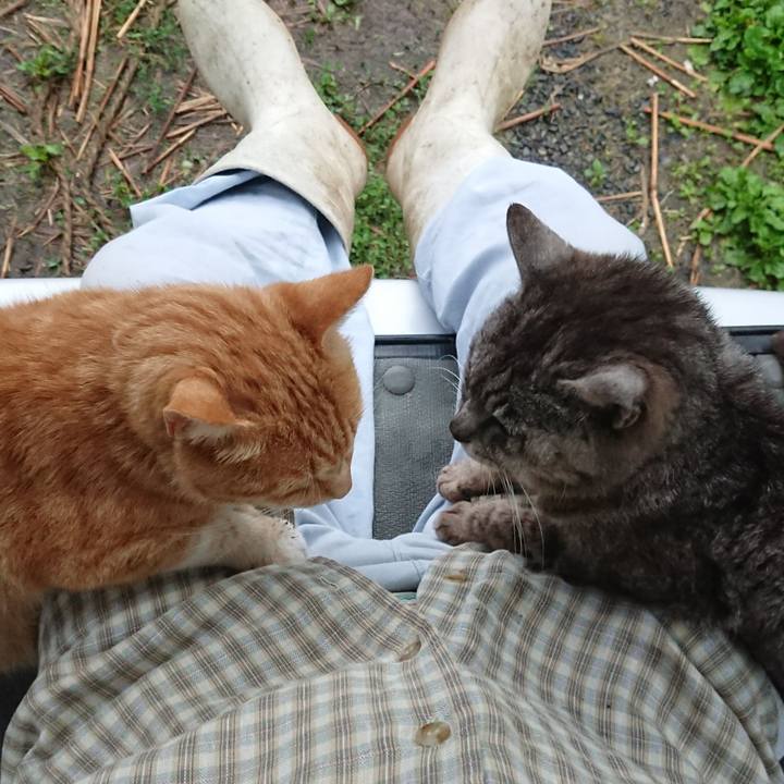 E362c392 1aaa 49ed bb7b 8c4bed44584a 1593981232028