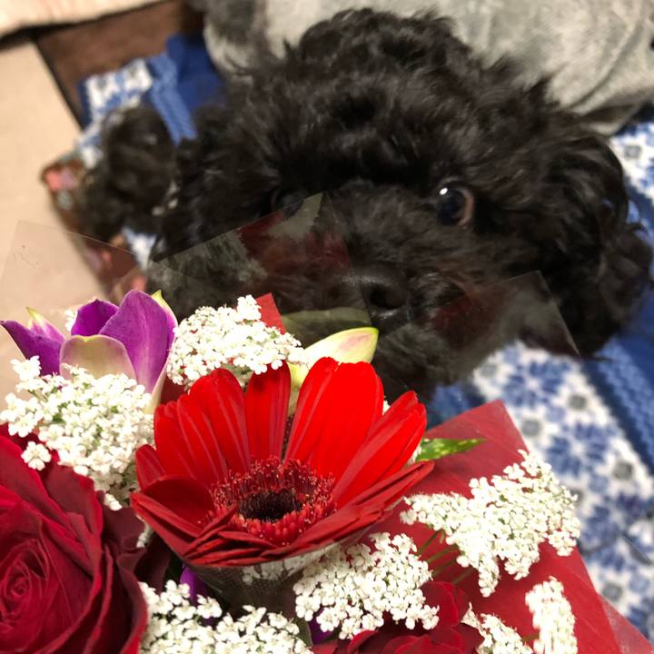 E362e443 bf6a 4654 89a2 51effa196bed 1551617556351