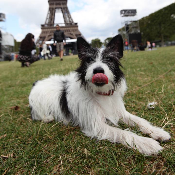 E3630030 a8a5 4ecc b656 0c69e58a6ba7 1591015593645