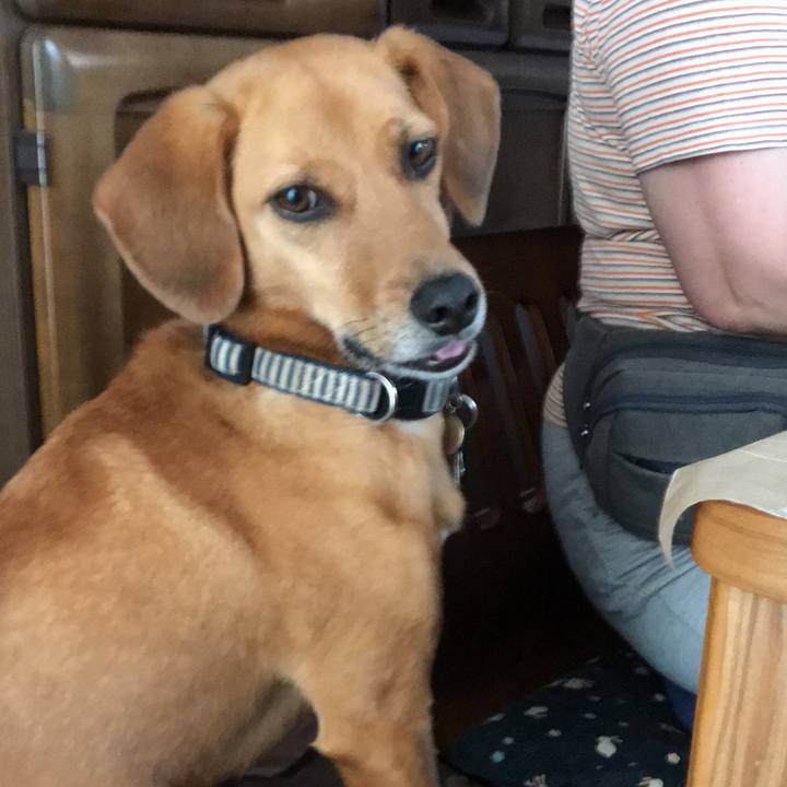 E36304ec 8f08 41cd b084 9b10ba64fe97 1530144728515