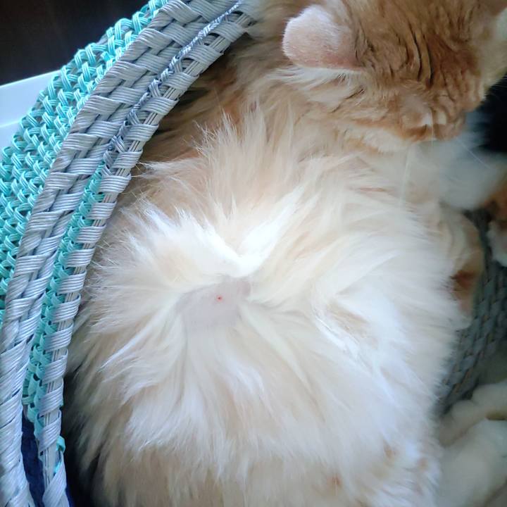 E3630b69 f226 4f29 a31b 55c1184bced6 1656118927245