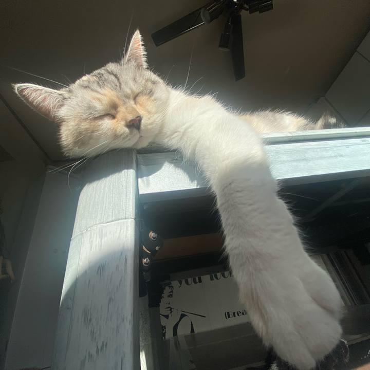 E3632153 f4d6 4db0 826f e63062483d28 1640918485362