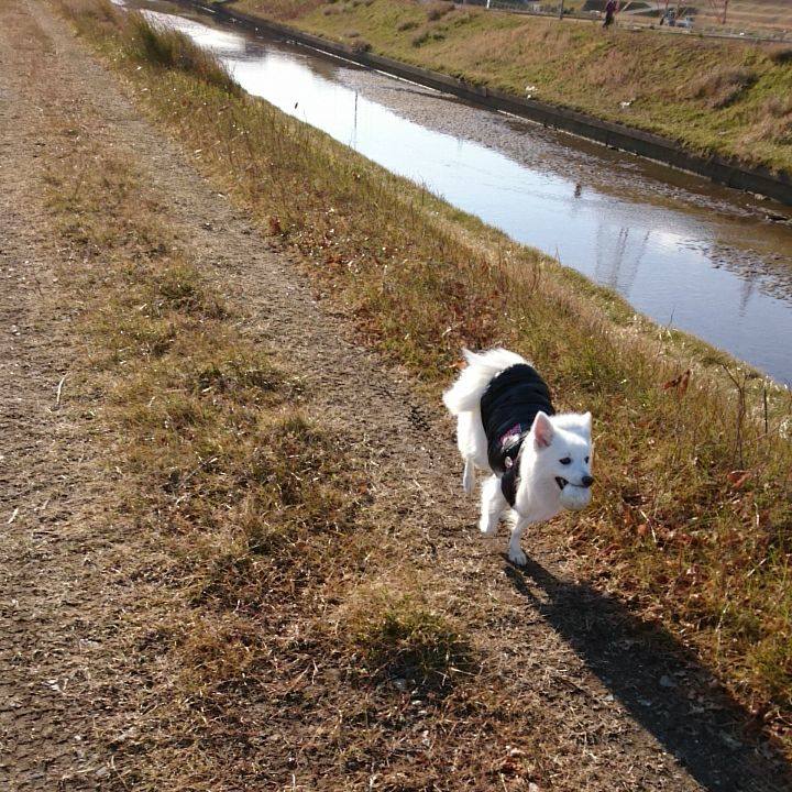 E363272e dfc8 47c2 afe7 954510beece7 1518072806244