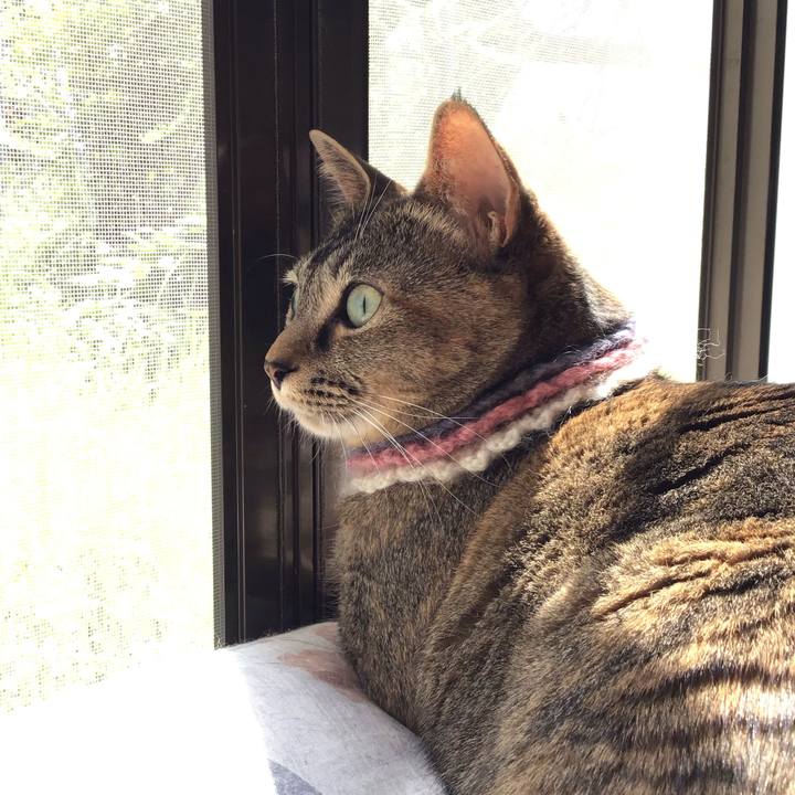 E3635cdd 7bcd 430f 8296 a0de6c315440 1621046637726