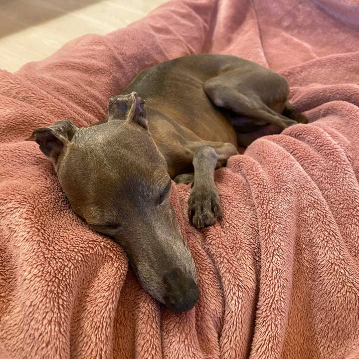 E363908c fcc6 4a0d a594 fb966810783d 1760951849056