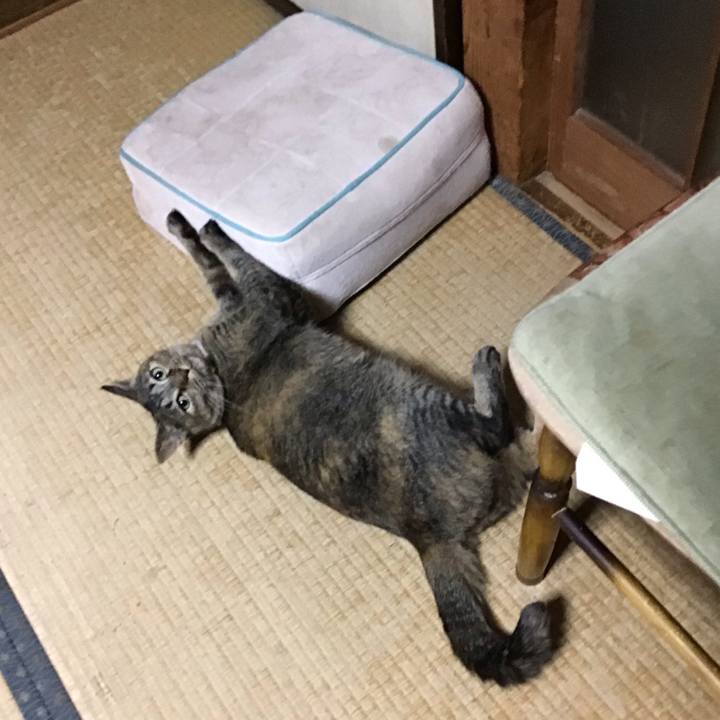 E363a1e2 9ece 43b2 b718 ef31d62b9ec9 1662117651631