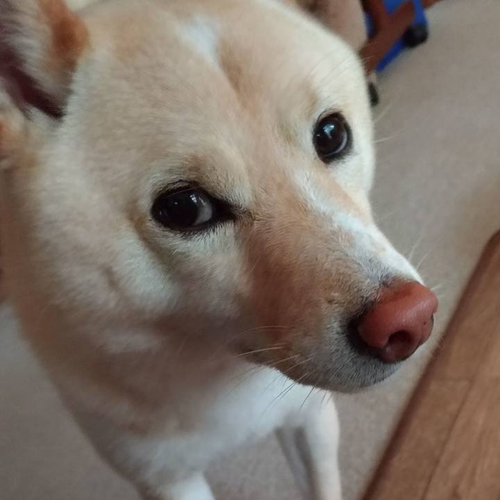 E363c906 5dd8 4681 b247 12d2e09e7270 1590268157553