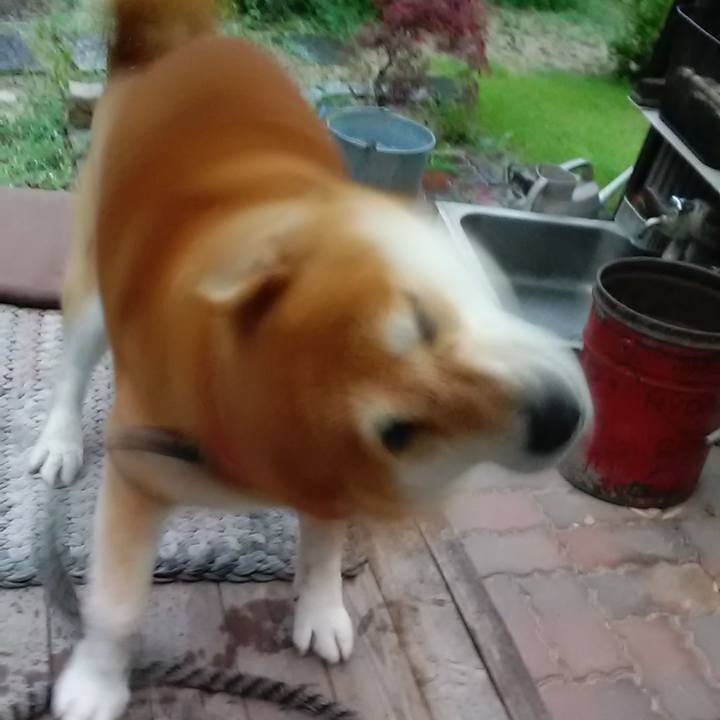 E363d7c7 2ae9 4cde bb9a 96c7c8e33e85 1592216294376