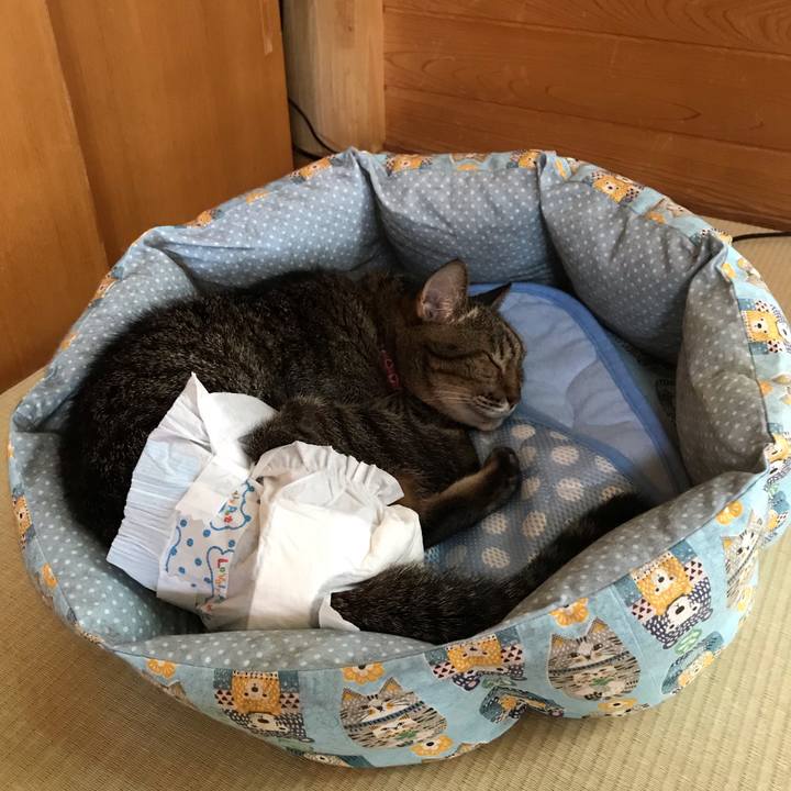 E363ee45 ca49 4e3f b8a6 801ecf8fb980 1538998414860