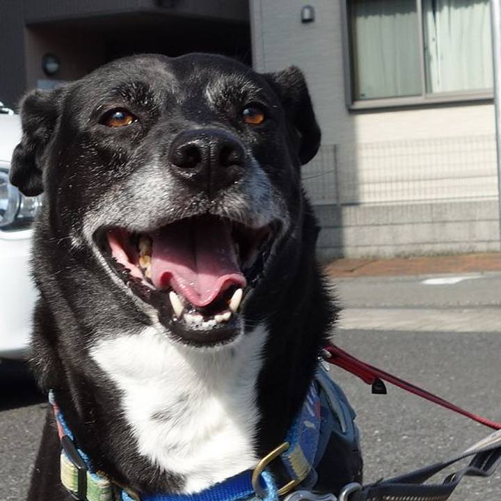 E363f617 a169 489f 9f9c dfab813c0015 1718065608742