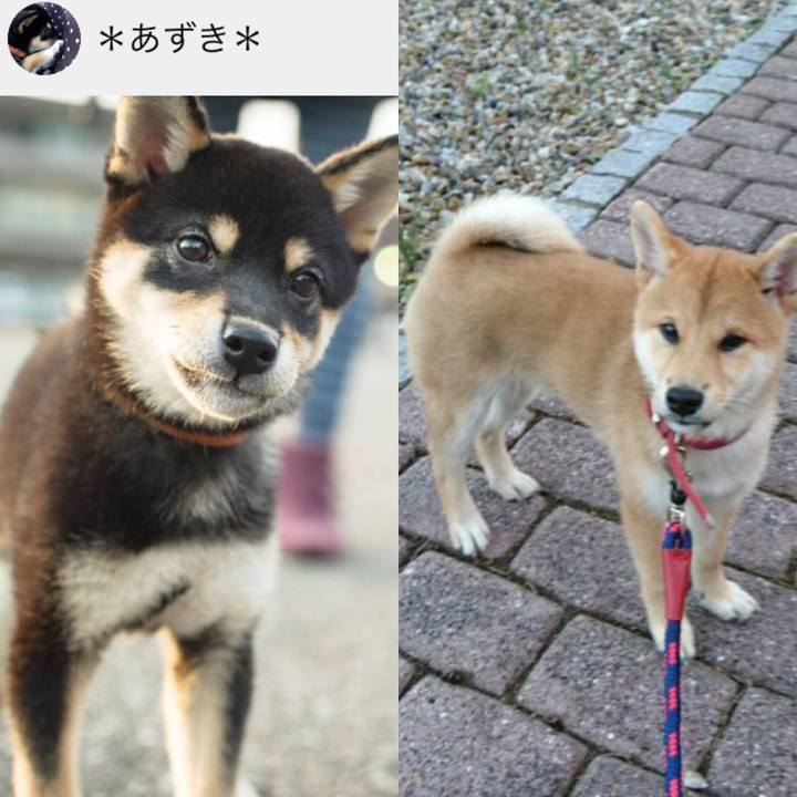 E363ff4c 8e23 4b35 a4dd 9382f33d0442 1568905195526