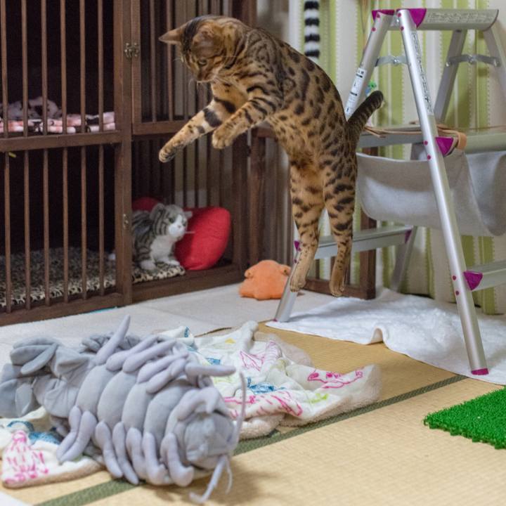 E364128c e1b4 4129 9457 11229fcc5de5 1519315122461