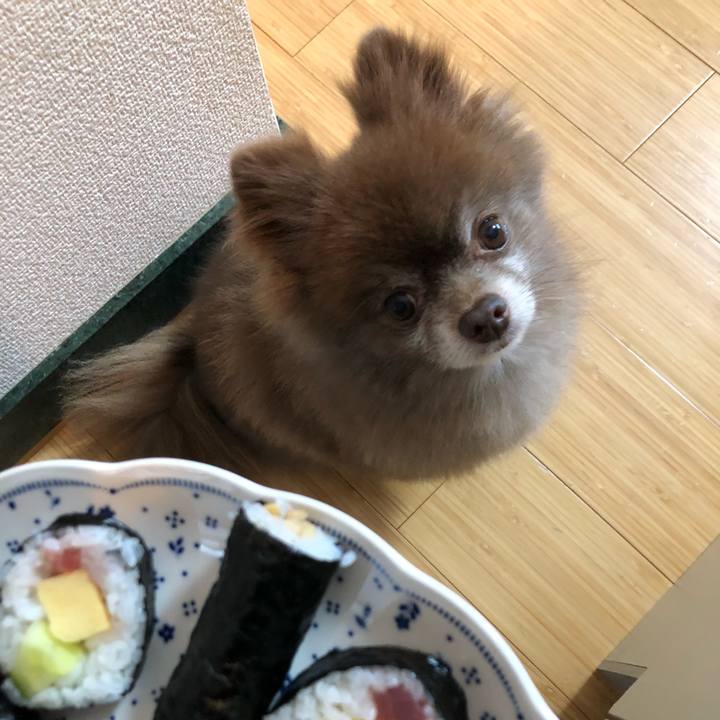 E3641ab0 43ad 49dd 92b4 aacf70775485 1580714345873