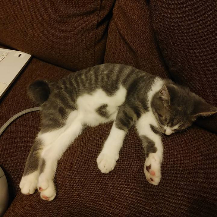 E36425cf a1b9 41fd 91d6 15afd0596138 1567071870273