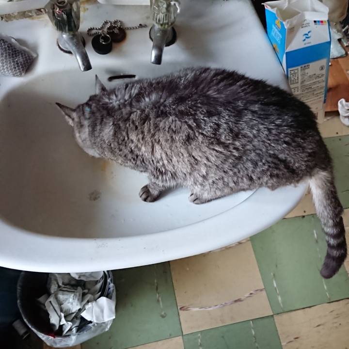 E3642c0d de8f 42dc b93b dc645f9dfc00 1574459442454