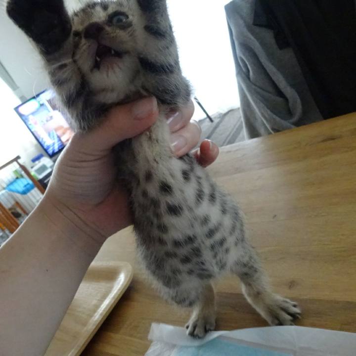 E364393e 1afa 4afe a024 a3820decc4c4 1558048726584