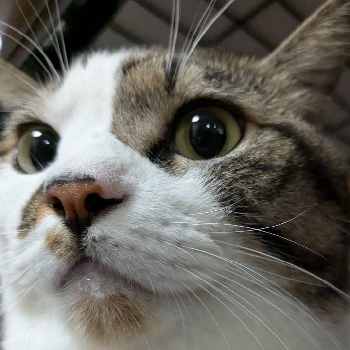 E36456f1 9a6c 4408 ae63 1ede01846c31 1730287542881