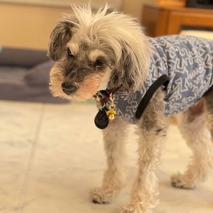 E364a24f 0eaf 4270 b3bd b144392cb067 1768282814774