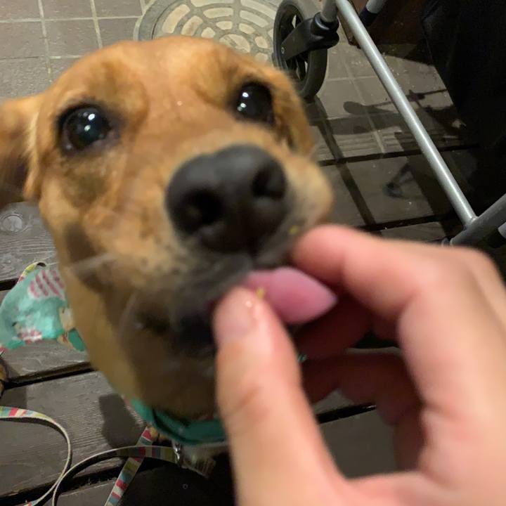 E364ac1f 41b6 4c57 b9d8 a3d9b0e7109e 1567765081662