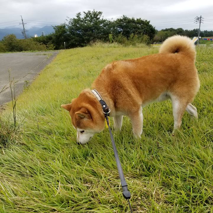 E364b569 7354 48fa b370 5b198b5899ad 1600155185174