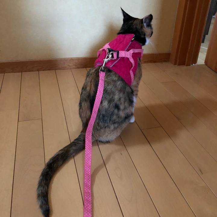 E36520b8 2604 4bd0 ba12 da47f1cbcbec 1526601669761