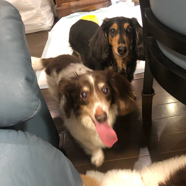 E3652ba4 ad05 4085 8249 28946ab5c1d4 1588854039972