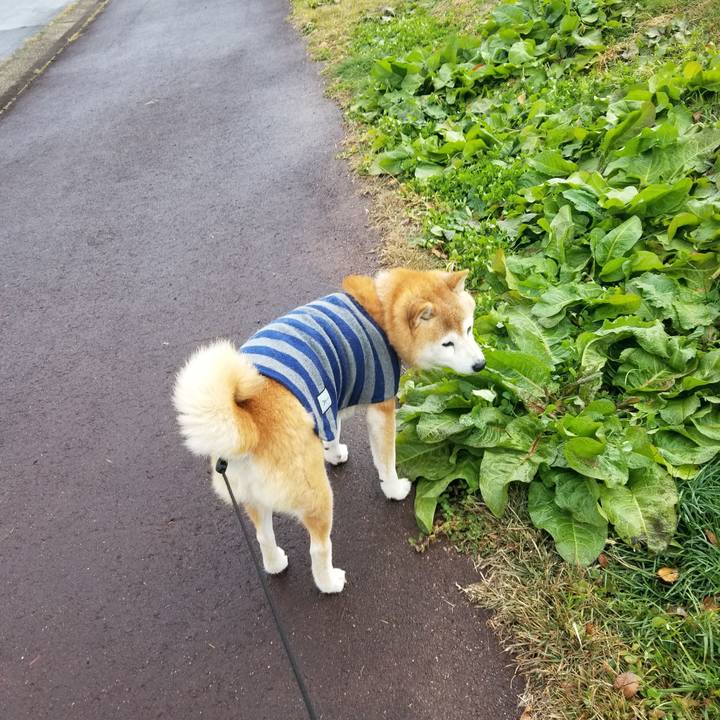 E3656ac0 3934 44ce 91b0 415bcee4f3d7 1701580665460