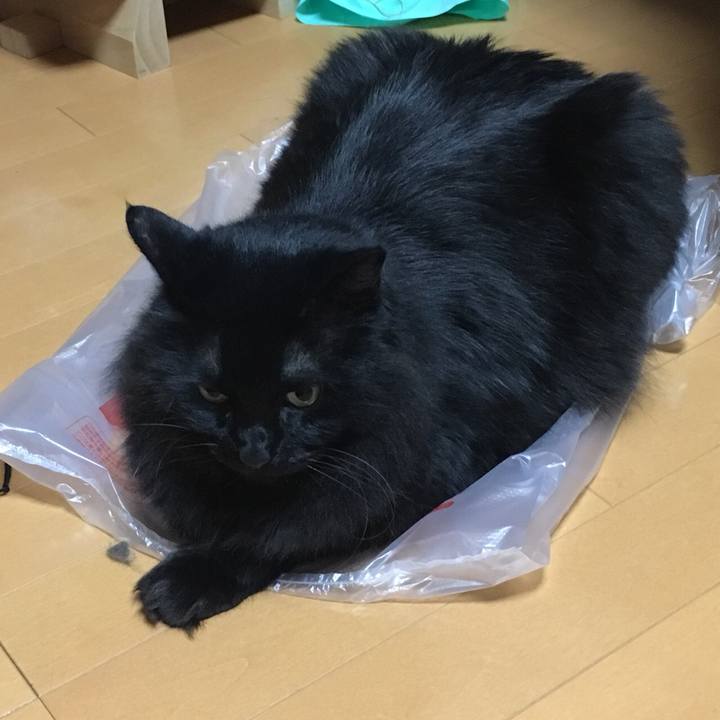 E36575bc 55ea 410a 944d 5e750ec2c263 1560572712473