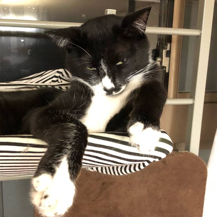 E3657b90 0de9 4675 bd33 356ed65689f0 1532662970975