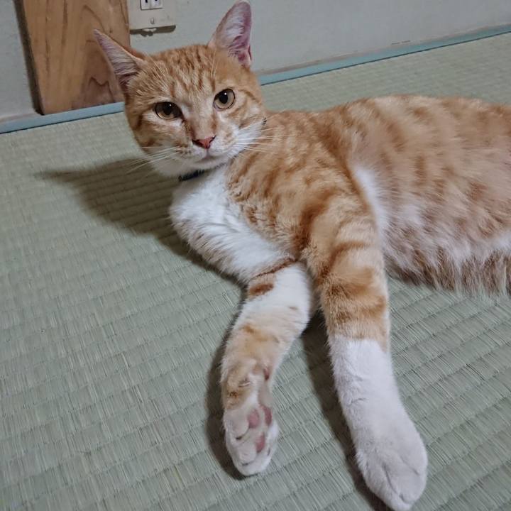 E365b27e 8f3b 4c57 b64c 1dedb0e44fe2 1565352712359